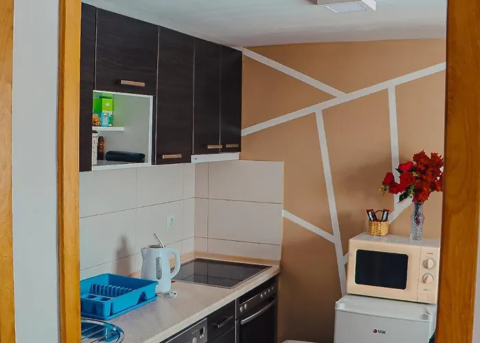 아파트 Benjo 사라예보